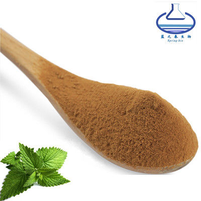 Peppermint Extract Mint Leaf Powder Food Grade For Health Protect