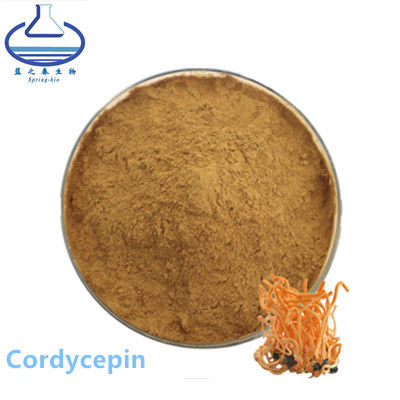 Cordycepin Ectoin In Skincare , Sinensis Extract Organic Cordyceps Militaris