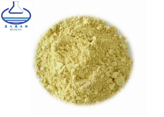 Baicalin 85% CAS 21967-41-9 Scutellaria Root Extract For Hairdressing Cosmetic