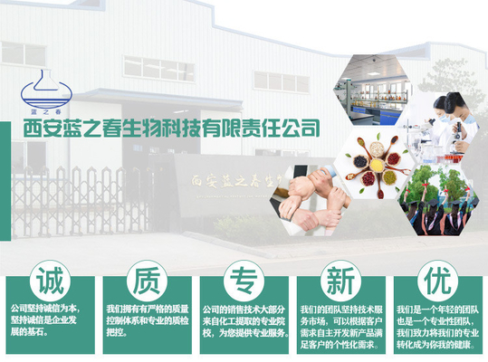 Betaine Powder Natural Beetroot Extract Sodium Hyaluronate And Hyaluronic Acid