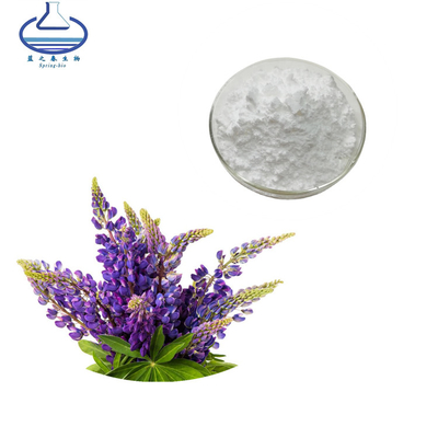 Pure Natural Lupine Extract Powder Lupeol 545-47-1