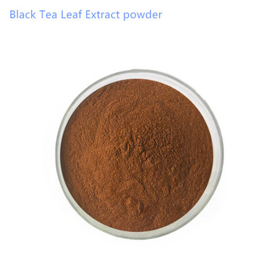 20%-40% Black Tea Leaf Extract powder Pure Plant Extracts