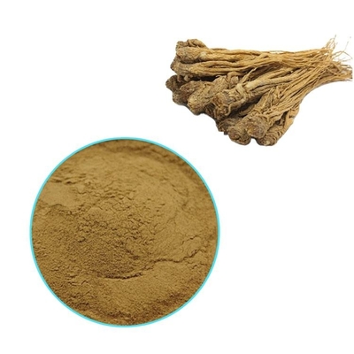 Health Pure Plant Extracts Radix Angelica Sinensis Root Extract Powder