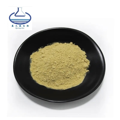 High Quality Larch Extract Taxifolin Powder