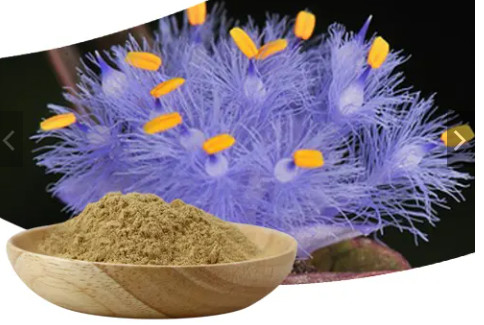 Beta Ecdysterone 20-Hydroxyecdysone Powder Pure Plant Extracts