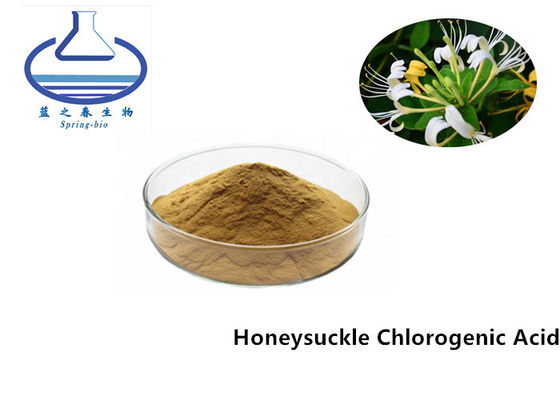COA Honeysuckle Flower Extract Chlorogenic Acid 5% CAS 327-97-9