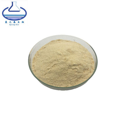 Ginsenoside Powder 80% Ginseng Root Extract Powder Ginseng Extract
