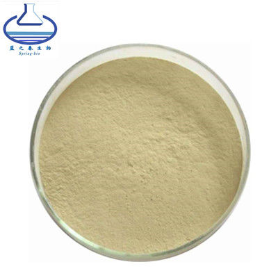 Ginsenoside Powder 80% Ginseng Root Extract Powder Ginseng Extract