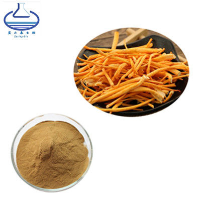 Cordycepin Ectoin In Skincare , Sinensis Extract Organic Cordyceps Militaris