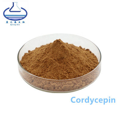 Cordycepin Ectoin In Skincare , Sinensis Extract Organic Cordyceps Militaris