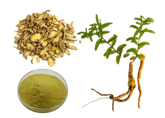Baicalin 85% CAS 21967-41-9 Scutellaria Root Extract For Hairdressing Cosmetic